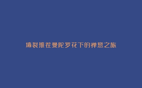 墙裂推荐曼陀罗花下的禅意之旅