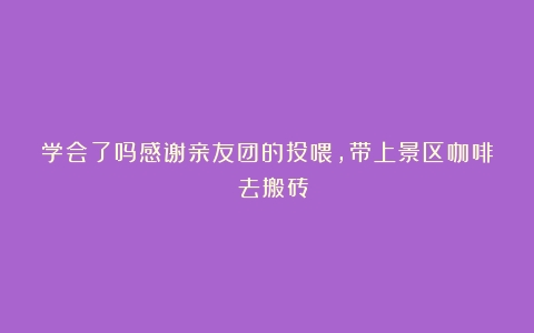 学会了吗感谢亲友团的投喂，带上景区咖啡☕️去搬砖！