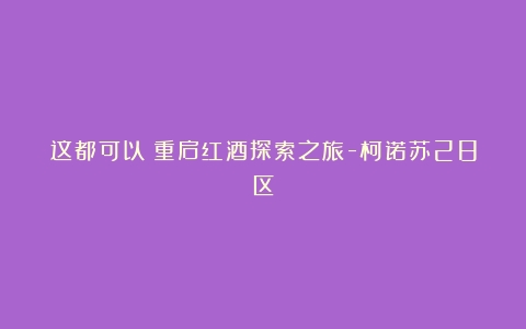 这都可以？重启红酒探索之旅-柯诺苏28区