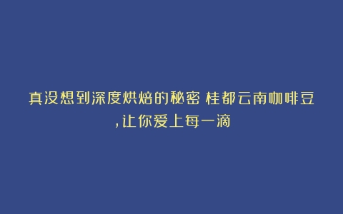 真没想到深度烘焙的秘密！桂都云南咖啡豆，让你爱上每一滴