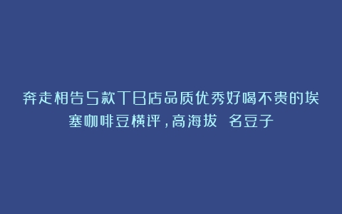 奔走相告5款TB店品质优秀好喝不贵的埃塞咖啡豆横评，高海拔 名豆子