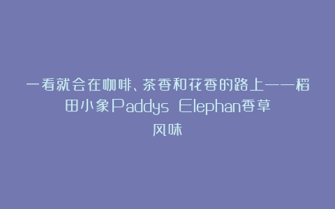 一看就会在咖啡、茶香和花香的路上——稻田小象Paddys Elephan香草风味