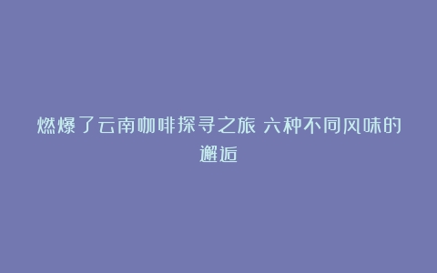 燃爆了云南咖啡探寻之旅|六种不同风味的邂逅