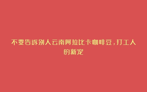 不要告诉别人云南阿拉比卡咖啡豆，打工人的新宠？