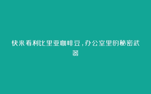 快来看利比里亚咖啡豆，办公室里的秘密武器！