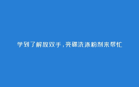 学到了解放双手，亮碟洗涤粉剂来帮忙