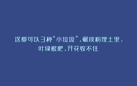 这都可以3种“小垃圾”，碾成粉埋土里，叶绿根肥，开花收不住！