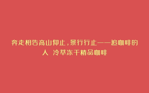 奔走相告高山仰止,景行行止——追咖啡的人 冷萃冻干精品咖啡