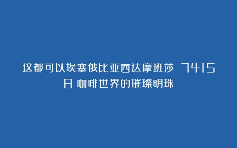 这都可以埃塞俄比亚西达摩班莎 74158：咖啡世界的璀璨明珠