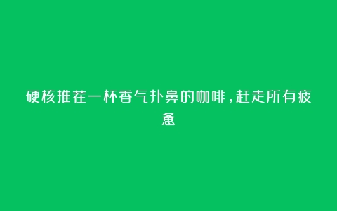 硬核推荐一杯香气扑鼻的咖啡，赶走所有疲惫