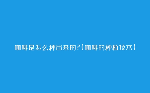 咖啡是怎么种出来的?(咖啡的种植技术)