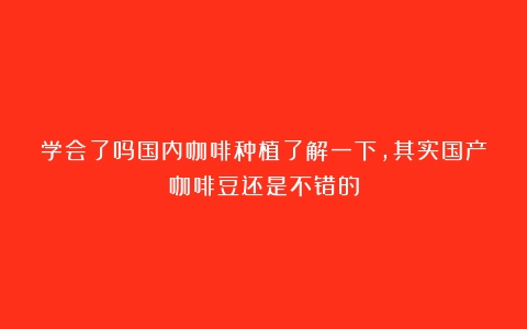 学会了吗国内咖啡种植了解一下，其实国产咖啡豆还是不错的