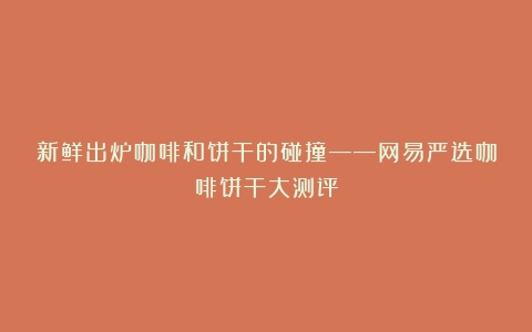 新鲜出炉咖啡和饼干的碰撞——网易严选咖啡饼干大测评