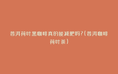 普洱荷叶黑咖啡真的能减肥吗?(普洱咖啡荷叶茶)