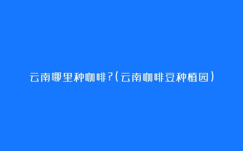 云南哪里种咖啡?(云南咖啡豆种植园)