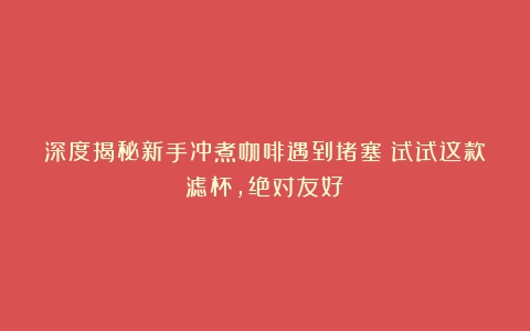 深度揭秘新手冲煮咖啡遇到堵塞？试试这款滤杯，绝对友好！