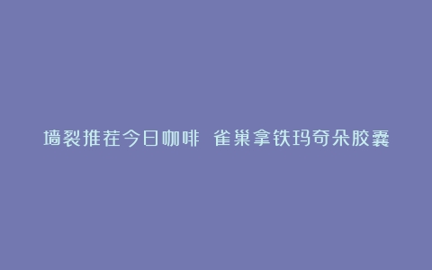 墙裂推荐今日咖啡 雀巢拿铁玛奇朵胶囊