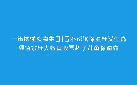 一篇读懂造物集316不锈钢保温杯女生高颜值水杯大容量吸管杯子儿童保温壶