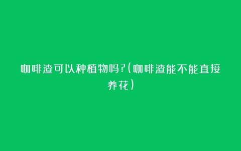 咖啡渣可以种植物吗?(咖啡渣能不能直接养花)