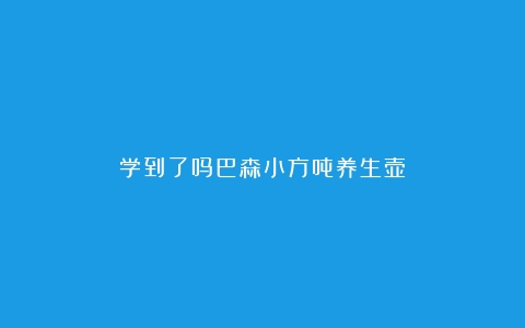 学到了吗巴森小方吨养生壶