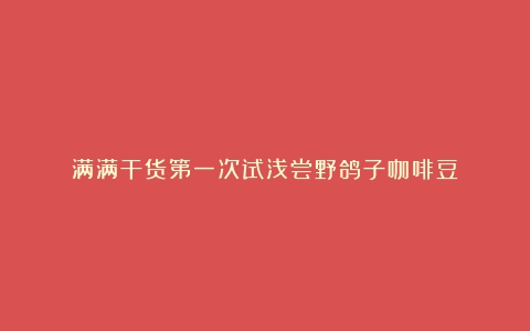 满满干货第一次试浅尝野鸽子咖啡豆