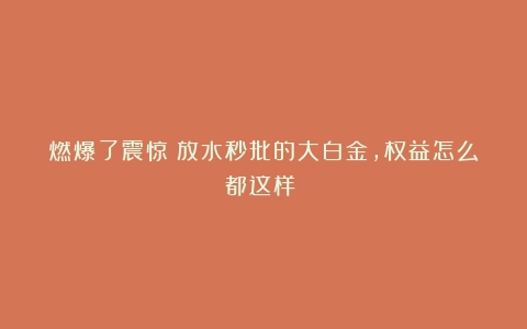 燃爆了震惊！放水秒批的大白金，权益怎么都这样？！